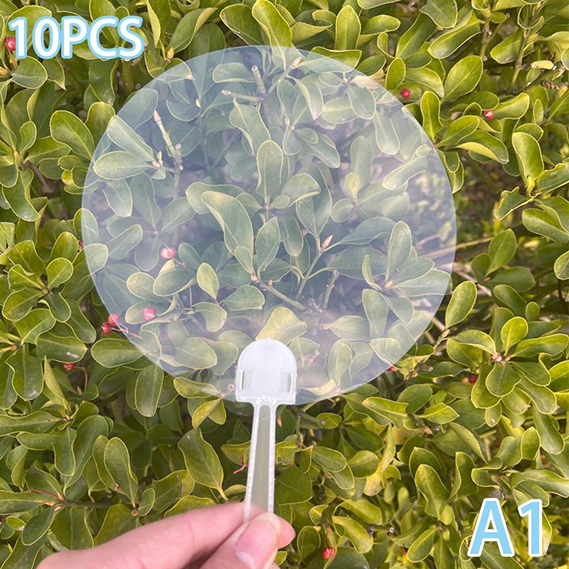 10 шт. Пустий пластик Прозорі віяла Діти своїми руками Мистецтво Віяло Весілля День Народження Назад Подарунки Подругі Хлопцю Креативні подарунки
10 шт. Пустий пластик Прозорі віяла Діти своїми руками Мистецтво Віяло Весілля День Народження Назад Подарунки Подругі Хлопцю Креативні подарунки