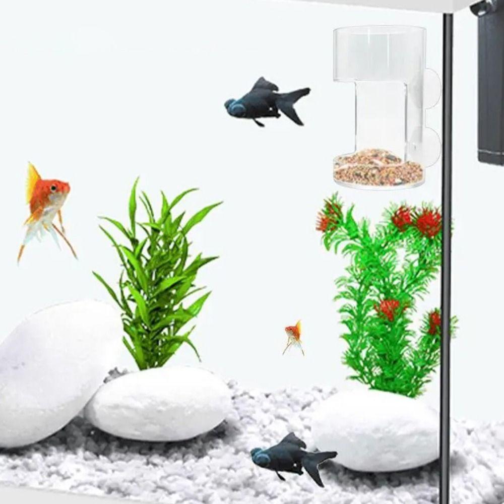 Transparent Suction Cup Fish Feeder Plastic Aquarium Feeding Ring For Goldfish Turtle Birds square
Transparent Suction Cup Fish Feeder Plastic Aquarium Feeding Ring For Goldfish Turtle Birds square