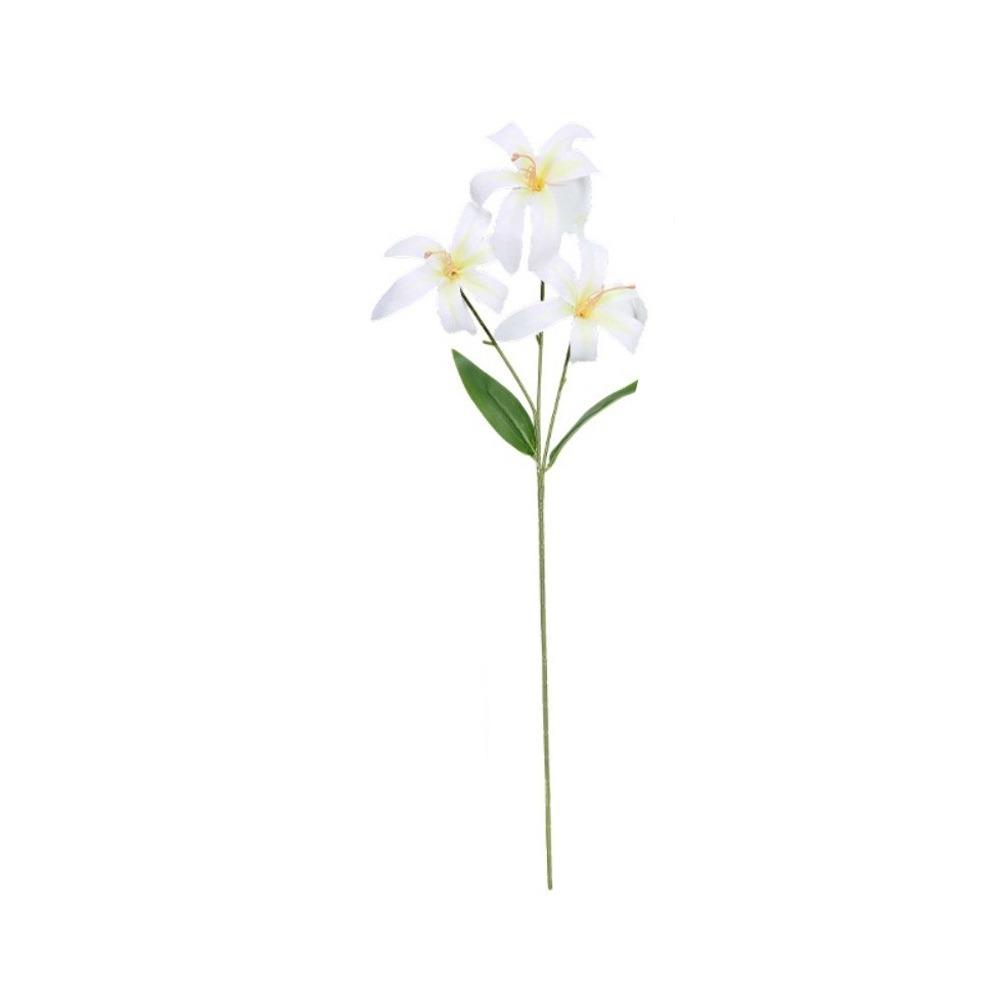 3/6 Heads Artificial Lilis DIY Flower Realistic Fake Flowers Multicolor Floral Arrangement Simulation Flowers Photography Props белый
3/6 Heads Artificial Lilis DIY Flower Realistic Fake Flowers Multicolor Floral Arrangement Simulation Flowers Photography Props белый