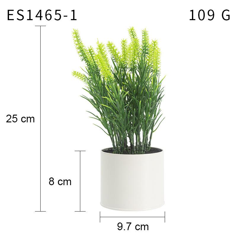 Моделирование Простая жестяная бочка Зеленые растения Растения в горшках Домашняя фотография Офисное украшение рабочего стола Зеленые растения
Моделирование Простая жестяная бочка Зеленые растения Растения в горшках Домашняя фотография Офисное украшение рабочего стола Зеленые растения