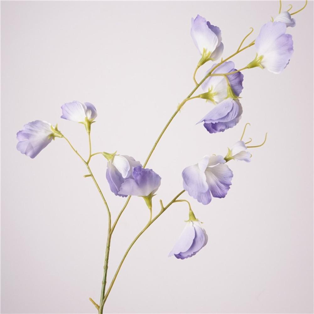 Увлажняющий искусственный цветок гороха Реалистичные искусственные растения Шелковая ветка гороха Свадебный декор фиолетовый
Увлажняющий искусственный цветок гороха Реалистичные искусственные растения Шелковая ветка гороха Свадебный декор фиолетовый