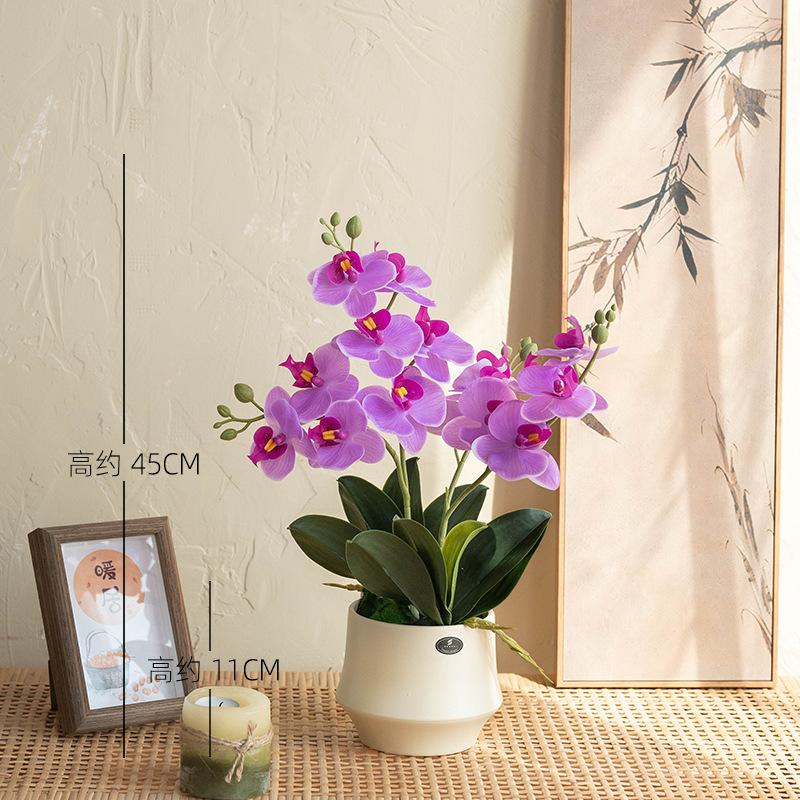 Phalaenopsis simulated flower orchid light luxury high-end fake flower arrangement table floral ornament
Phalaenopsis simulated flower orchid light luxury high-end fake flower arrangement table floral ornament