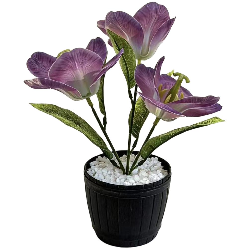 Artificial Tulip Bonsai Decor with Lifelike Texture and Shape for Enhancing Entryway Sideboard or Bookshelf Ambience фіолетовий
Artificial Tulip Bonsai Decor with Lifelike Texture and Shape for Enhancing Entryway Sideboard or Bookshelf Ambience фіолетовий