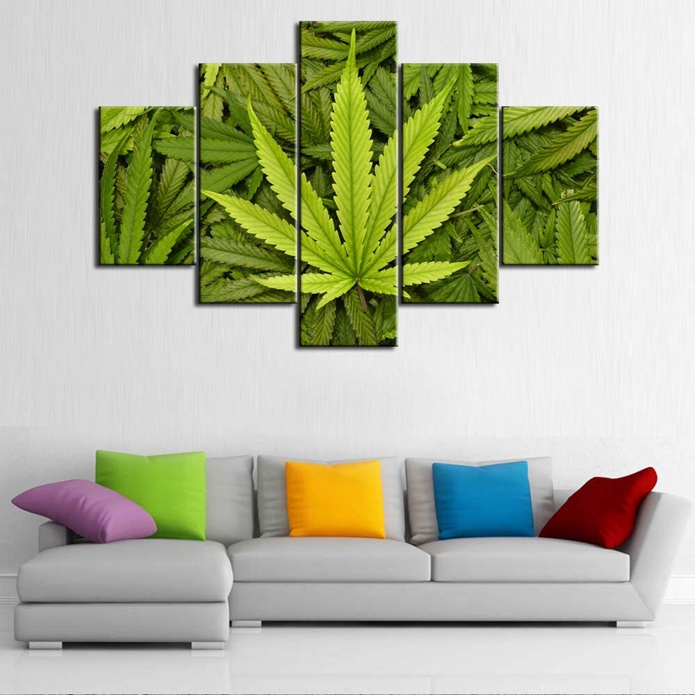 5Pcs Simple Life Green Leaf Watercolor Canvas Poster Home Decor No Framed Modern Abstract 5 Pieces Art 5 Panel Room Decor 20x35 20x45 20x55cm
5Pcs Simple Life Green Leaf Watercolor Canvas Poster Home Decor No Framed Modern Abstract 5 Pieces Art 5 Panel Room Decor 20x35 20x45 20x55cm