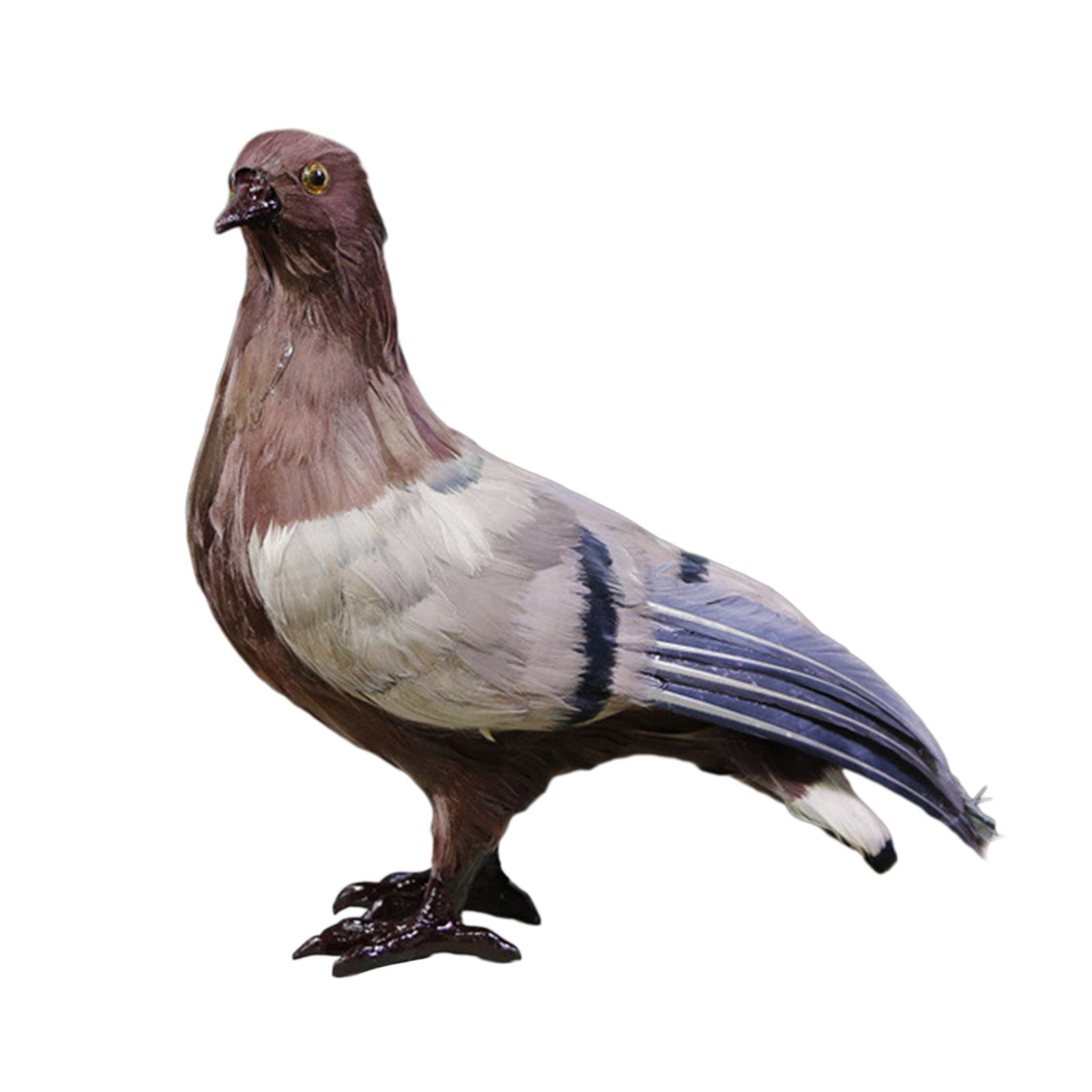 Realistic Seagull Bird Simulation Feather Bird Artificial Animal Figurine for Home Garden Lawn Decoration Photo Props
Realistic Seagull Bird Simulation Feather Bird Artificial Animal Figurine for Home Garden Lawn Decoration Photo Props