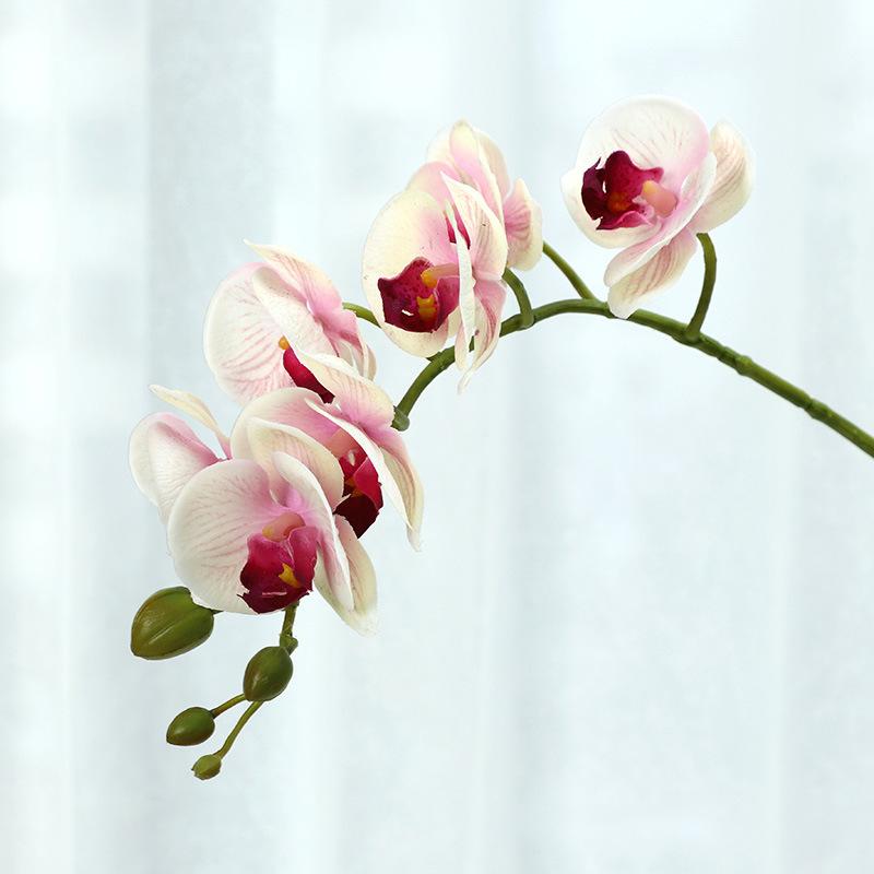 Имитация цветка Мини Ощущение Увлажняющий Фаленопсис Домашнее украшение Искусственный цветок Реквизит для фотосъемки Имитация растения 55cm розовый
Имитация цветка Мини Ощущение Увлажняющий Фаленопсис Домашнее украшение Искусственный цветок Реквизит для фотосъемки Имитация растения 55cm розовый