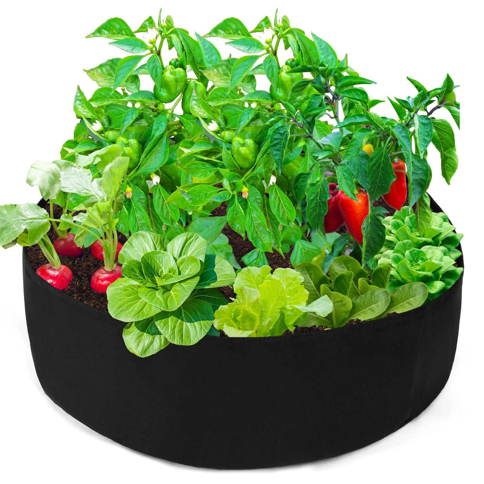 Plant Bag Portable Garden Planting Bag Felt Vegetable Flower Plant Grow Bags with Double Handles
Plant Bag Portable Garden Planting Bag Felt Vegetable Flower Plant Grow Bags with Double Handles