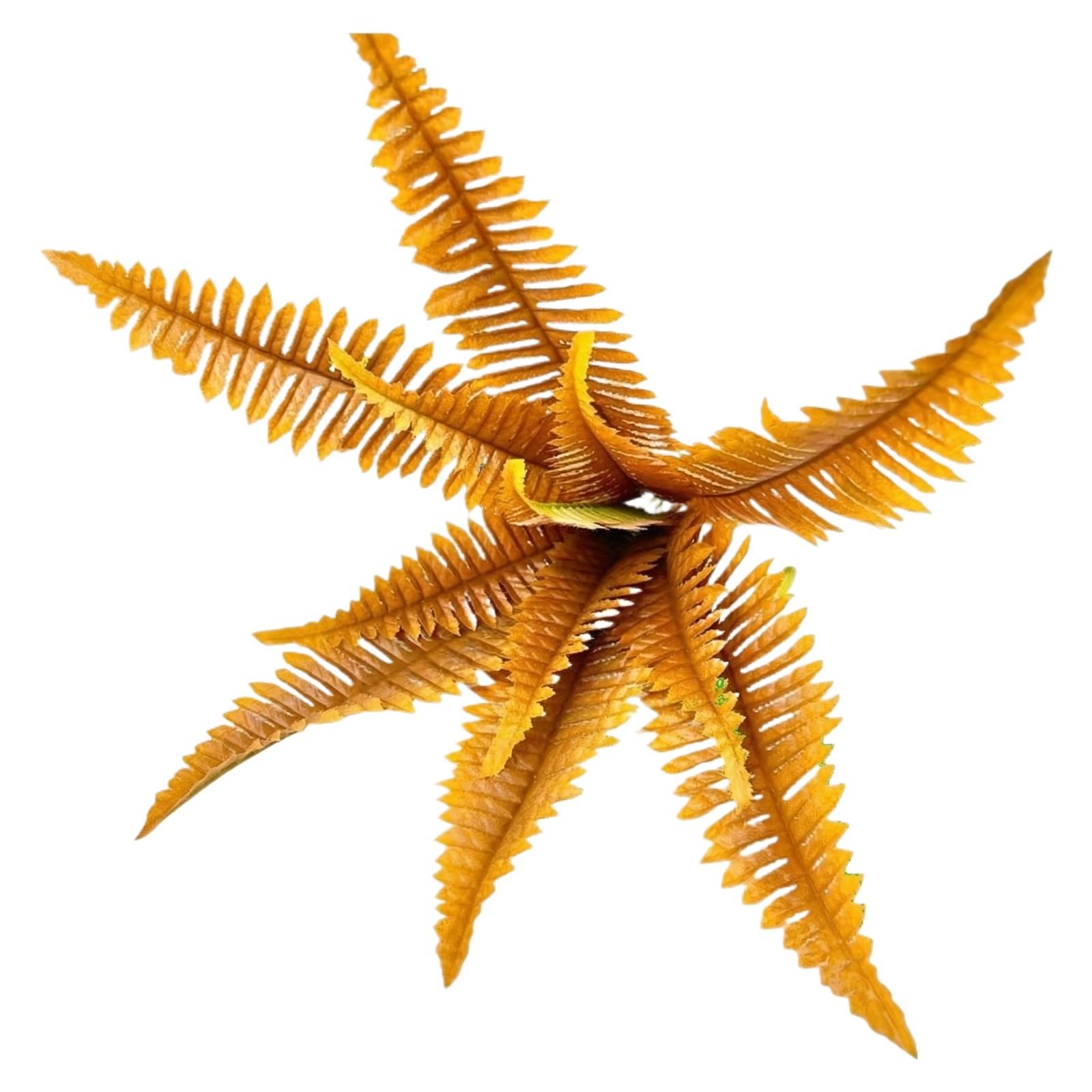 Artificial Fern Bush Set of 2 Large Faux Ferns 45 Inch Long with 55 Branches Each for Indoor Outdoor Office Living Room Decor One Size
Artificial Fern Bush Set of 2 Large Faux Ferns 45 Inch Long with 55 Branches Each for Indoor Outdoor Office Living Room Decor One Size