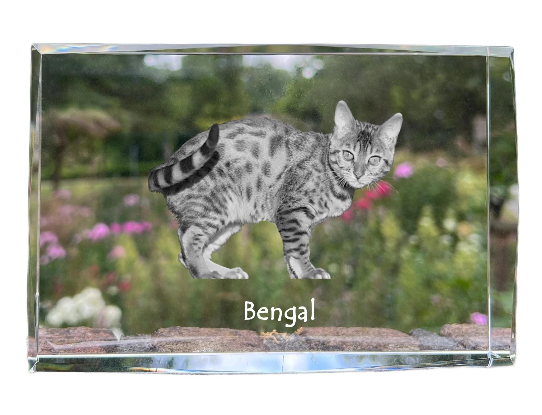 Bengal - crystal with a picture of a cat, photo in glass, modern exhibition of Art-Dog brand photo прозорий
Bengal - crystal with a picture of a cat, photo in glass, modern exhibition of Art-Dog brand photo прозорий
