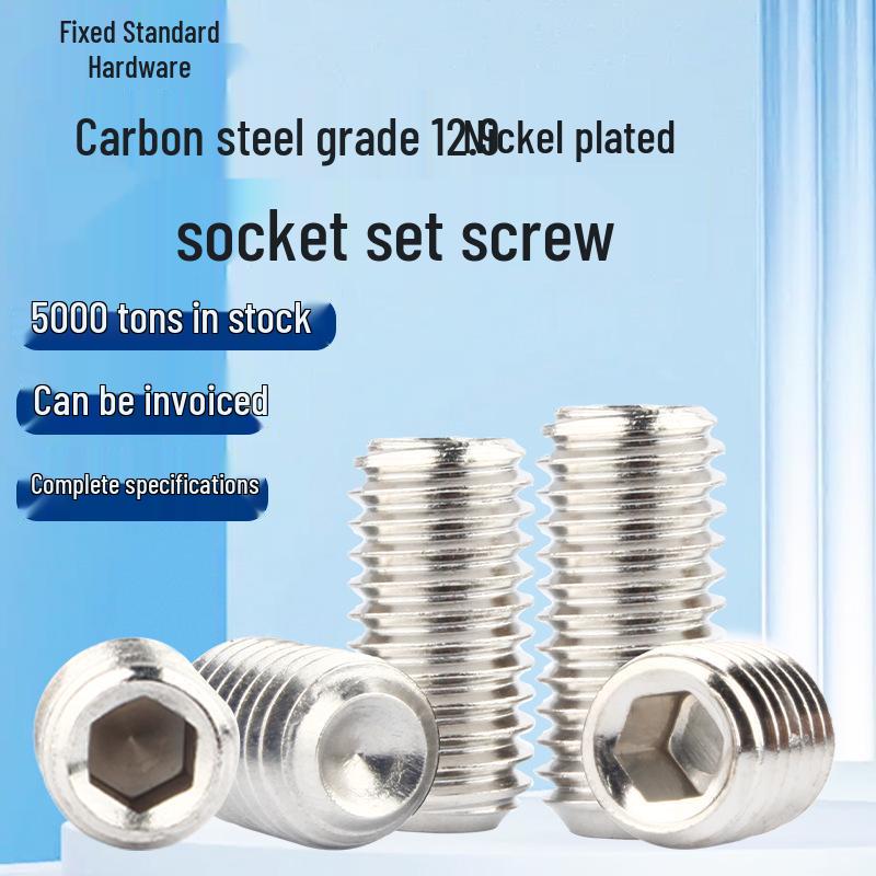 12.9 Grade M2-M10 Carbon Steel Nickel-Plated Cup Point Set Screws DIN916 M4x4mm
12.9 Grade M2-M10 Carbon Steel Nickel-Plated Cup Point Set Screws DIN916 M4x4mm