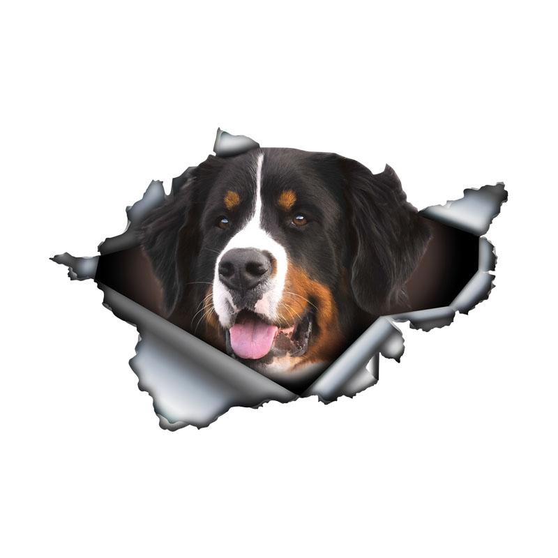 Bernese Mountain Dog Car Bumper Window Stickers For Car Truck Van Fashion Decals Vinyl Material Stickers 15cm-Longest Side
Bernese Mountain Dog Car Bumper Window Stickers For Car Truck Van Fashion Decals Vinyl Material Stickers 15cm-Longest Side