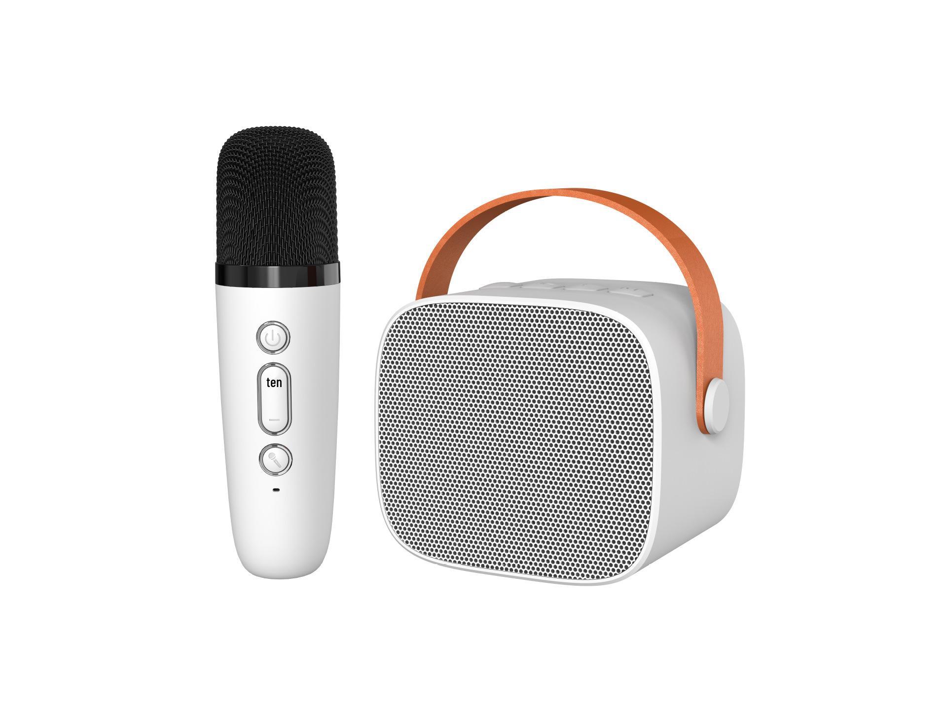 Portable Bluetooth Karaoke Speaker with Microphone for Family and Kids KTV
Portable Bluetooth Karaoke Speaker with Microphone for Family and Kids KTV