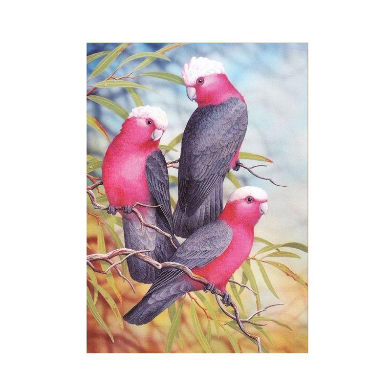 Parrot 5D DIY Diamond Paint Embroidery for Cross Craft Stitch Kit Home Wall Deco
Parrot 5D DIY Diamond Paint Embroidery for Cross Craft Stitch Kit Home Wall Deco