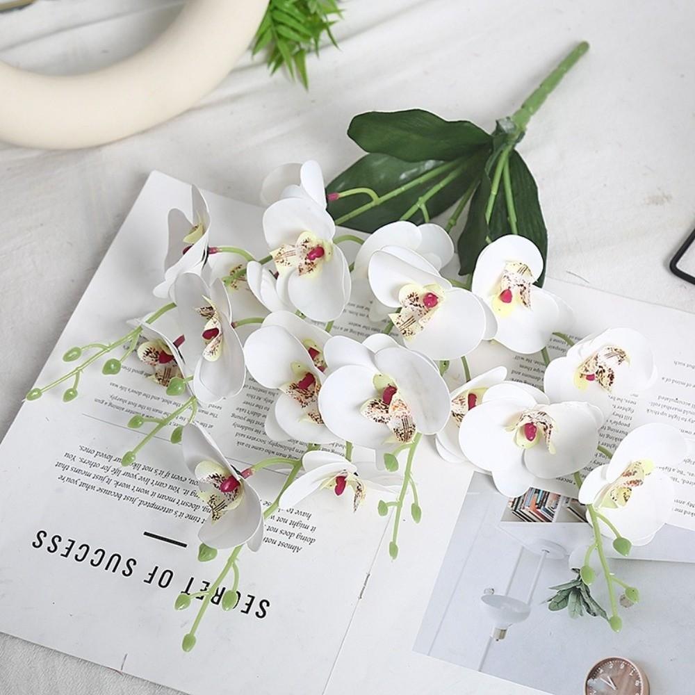 Butterfly Orchid Artificial Flowers Real Touch 5 Forks 3D Orchidea Phalaenopsis Silk Flower Home Wedding Decoration
Butterfly Orchid Artificial Flowers Real Touch 5 Forks 3D Orchidea Phalaenopsis Silk Flower Home Wedding Decoration
