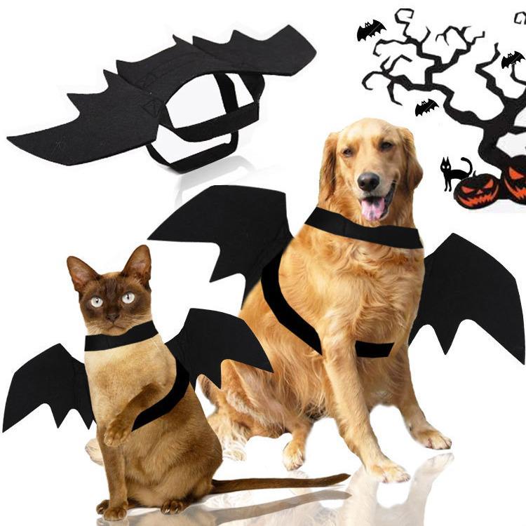Pet Bat Wings Halloween Costume - Funny Felt Cat & Dog Transformation. Black; Bell
Pet Bat Wings Halloween Costume - Funny Felt Cat & Dog Transformation. Black; Bell
