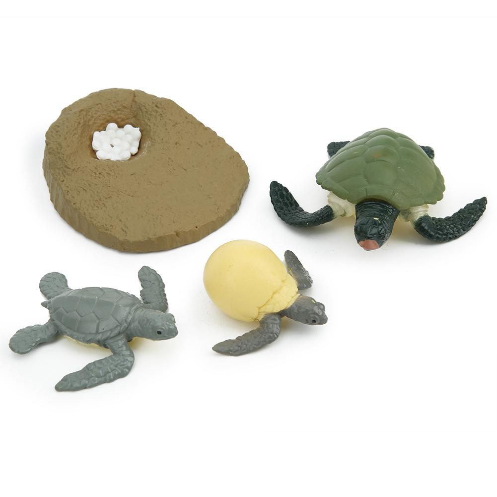 Highly Simulation Animal Life Cycle Model Toy Children Kid Learning Model ToyTortoise Life Cycle
Highly Simulation Animal Life Cycle Model Toy Children Kid Learning Model ToyTortoise Life Cycle