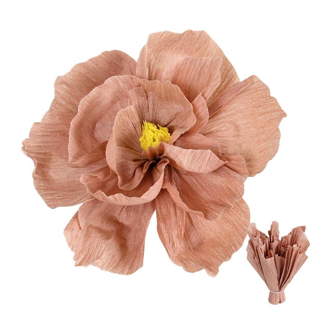 5 шт. 25 см цветок из гофрированной бумаги многоцелевой легкий морщинистый бумажный цветок стереоскопический праздничный декор ручной работы цветы своими руками
5 шт. 25 см цветок из гофрированной бумаги многоцелевой легкий морщинистый бумажный цветок стереоскопический праздничный декор ручной работы цветы своими руками