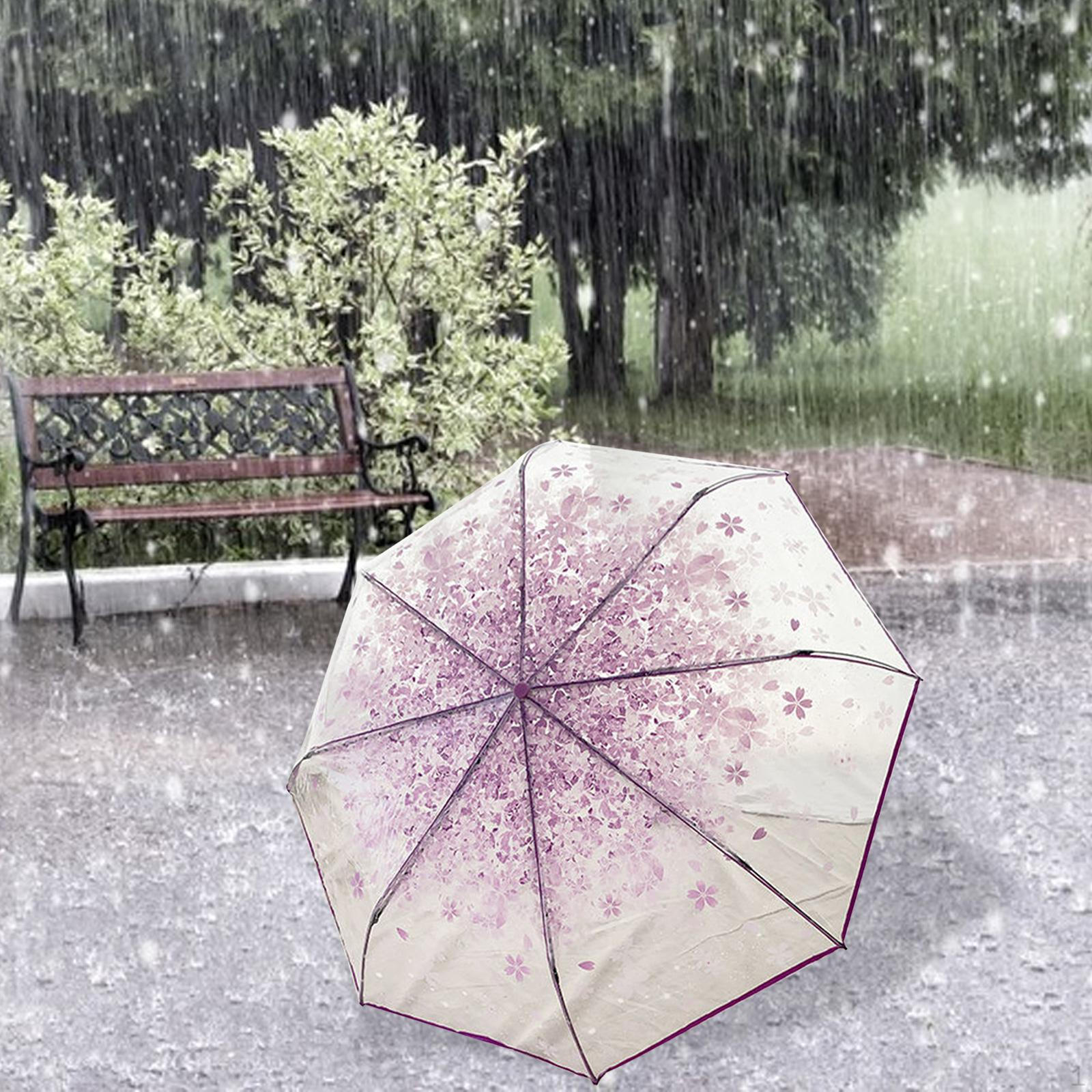 Clear Bladder Screen, Transparent Umbrella, Sweet, Light Women s Dome Foldable Umbrella for Violet
Clear Bladder Screen, Transparent Umbrella, Sweet, Light Women s Dome Foldable Umbrella for Violet