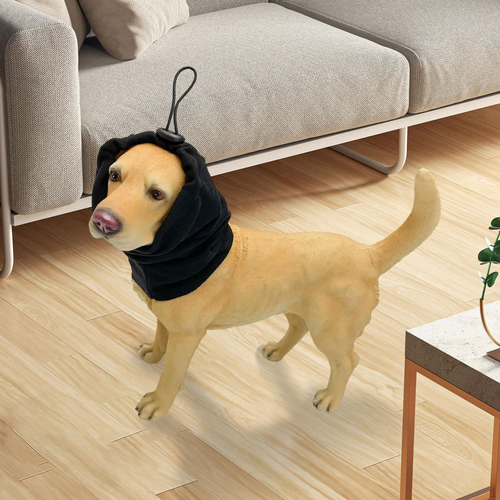 Защита от шума Чехол Защита ушей Защита от холода Регулируемые Зимние наушники для питомцев для прогулок и тренировок Black L
Защита от шума Чехол Защита ушей Защита от холода Регулируемые Зимние наушники для питомцев для прогулок и тренировок Black L