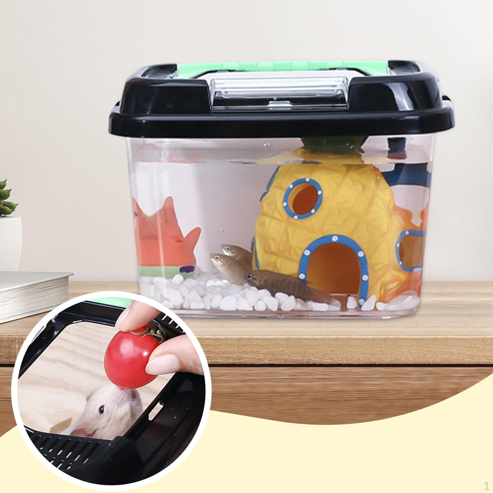 Critter Keeper Animal Small Habitat Rectangle with Lid Handle Reptile Feeding Box
Critter Keeper Animal Small Habitat Rectangle with Lid Handle Reptile Feeding Box