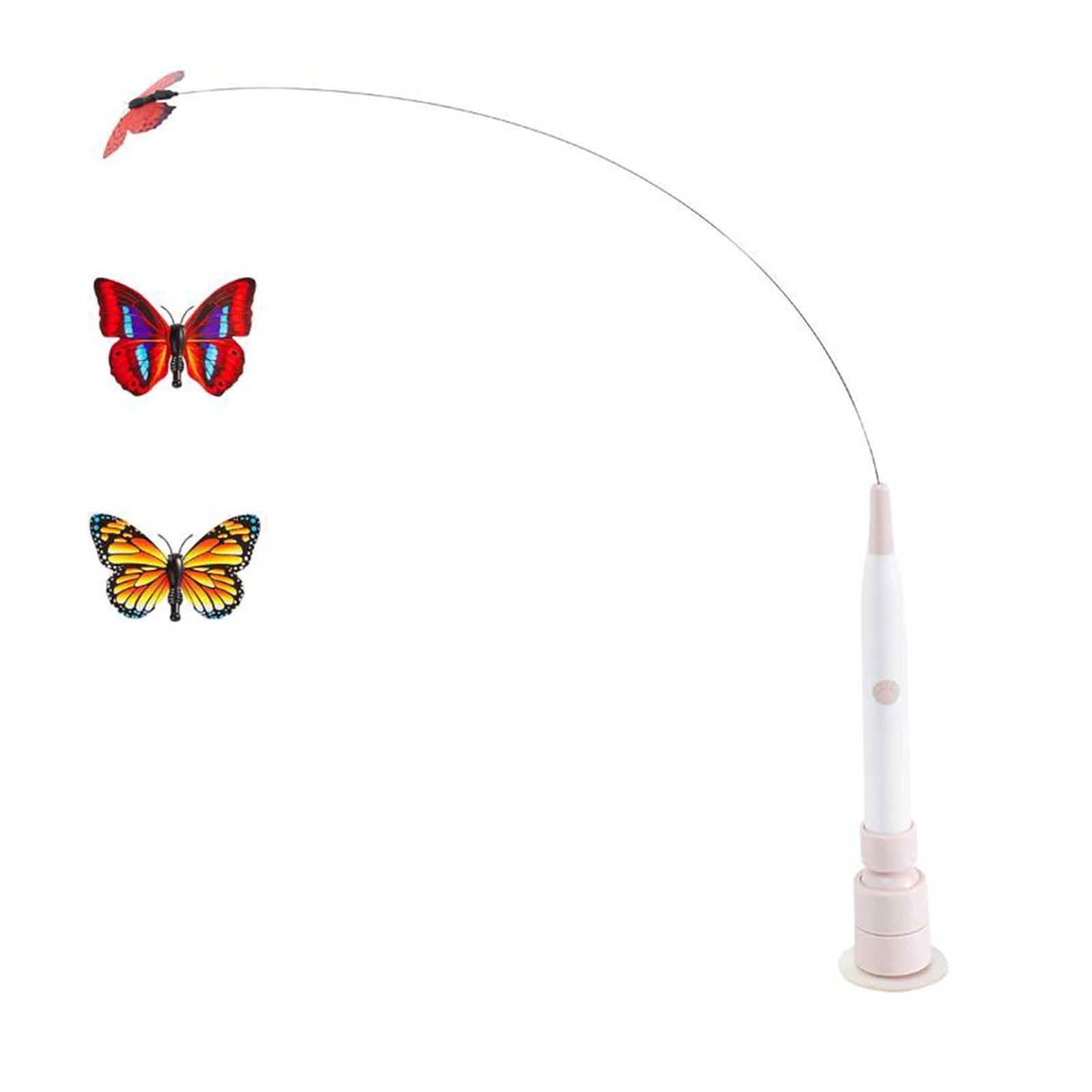 Interactive Cat Toy with Suction Cup Electric Butterfly Toy Automatic Cat Teaser Toys for Indoor Cats
Interactive Cat Toy with Suction Cup Electric Butterfly Toy Automatic Cat Teaser Toys for Indoor Cats