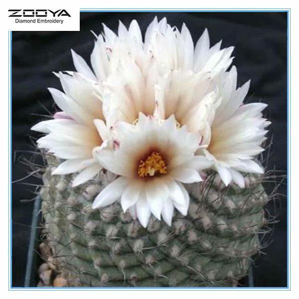 ZOOYA DIY 5D дрель Алмазная картина Цветок кактуса Вышивка крестом Мозаика Картина Домашний декор
ZOOYA DIY 5D дрель Алмазная картина Цветок кактуса Вышивка крестом Мозаика Картина Домашний декор