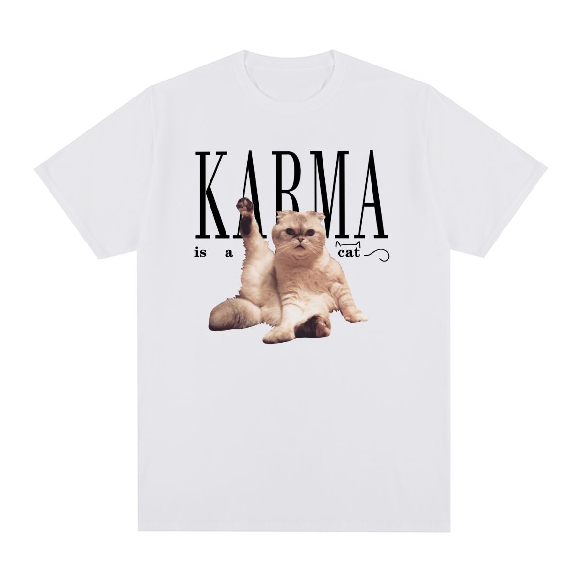 Karma Is A Cat Swift Vintage Tshirt Music Tour Cotton Men T shirt New Tee Tshirt Womens Tops S
Karma Is A Cat Swift Vintage Tshirt Music Tour Cotton Men T shirt New Tee Tshirt Womens Tops S