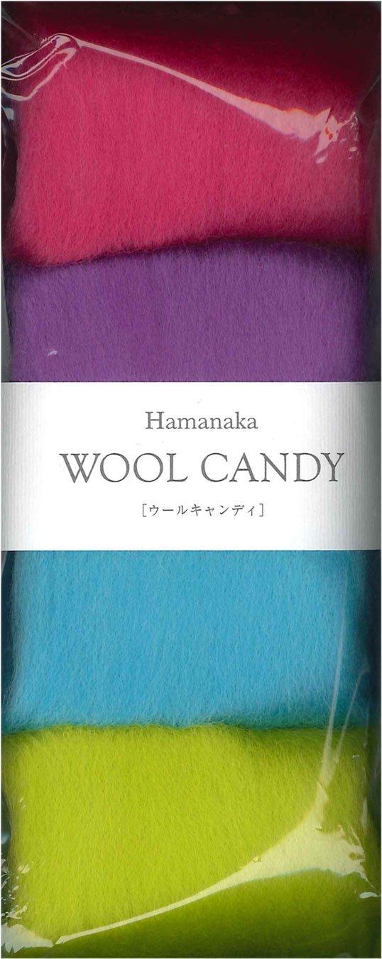 Hamanaka Wool Candy Teen Color 4-Color Set H441-120-13
Hamanaka Wool Candy Teen Color 4-Color Set H441-120-13
