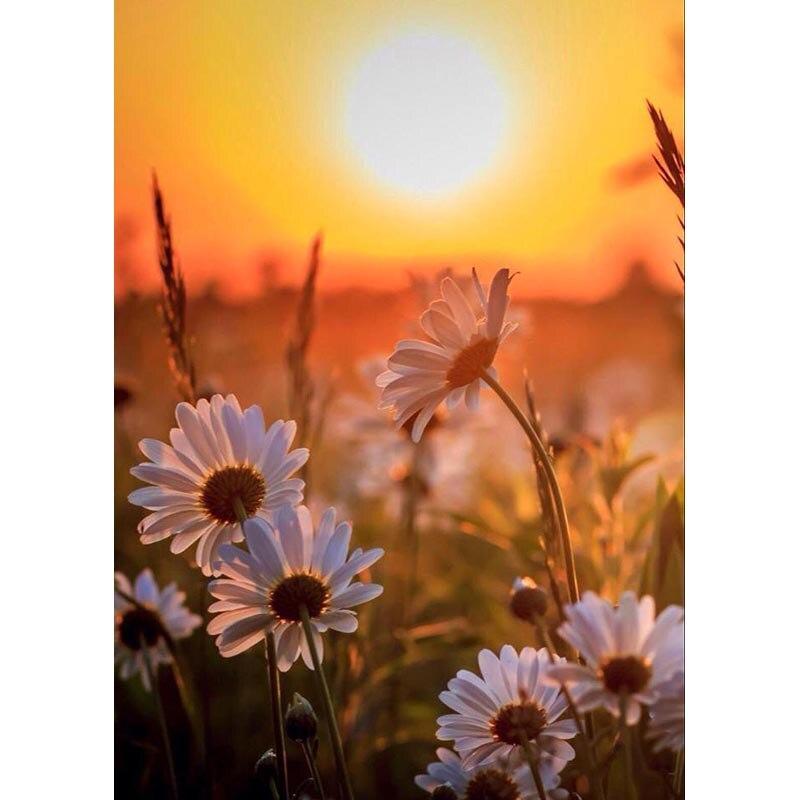 5D DIY алмазная живопись закат пейзаж Алмазная вышивка пейзаж вышивка крестом полная круглая дрель ремесла домашний декор подарок Full Round 15x20CM
5D DIY алмазная живопись закат пейзаж Алмазная вышивка пейзаж вышивка крестом полная круглая дрель ремесла домашний декор подарок Full Round 15x20CM