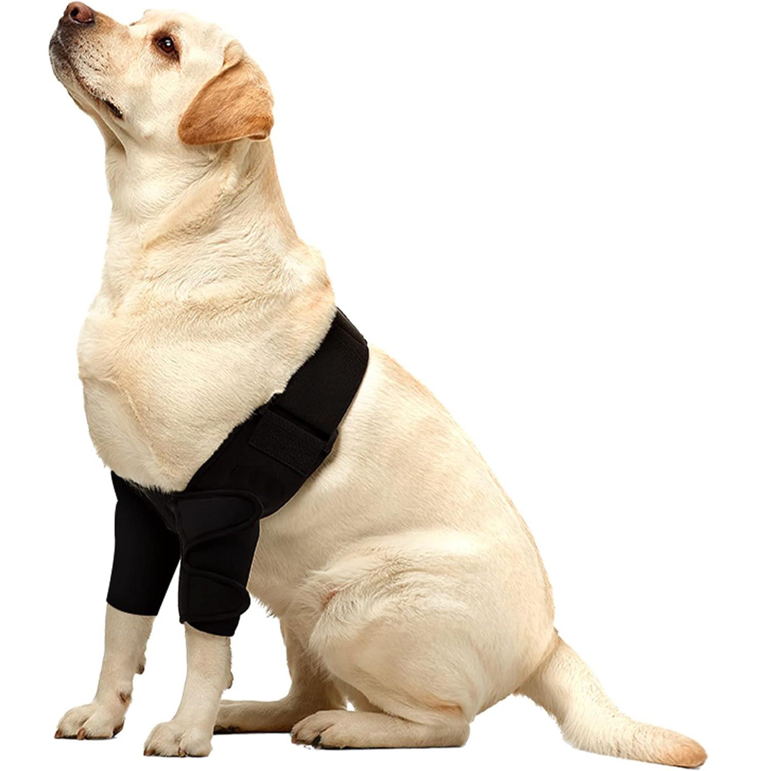 Dog Full Elbow Brace Protector For All Dog Breed,for Canine Elbow and Shoulder Elbow Hygroma, Front Leg Brace for Torn Ligaments S белый
Dog Full Elbow Brace Protector For All Dog Breed,for Canine Elbow and Shoulder Elbow Hygroma, Front Leg Brace for Torn Ligaments S белый