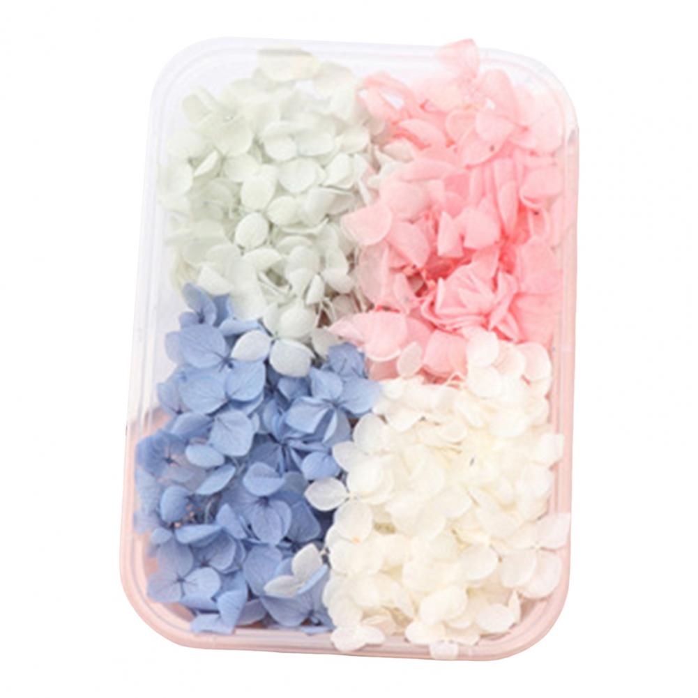 Natural Dried Flower Assortment Home Decoration Natural Dried Pressed Flowers For Handmade Crafts DIY Candles Epoxy Resin Flower
Natural Dried Flower Assortment Home Decoration Natural Dried Pressed Flowers For Handmade Crafts DIY Candles Epoxy Resin Flower