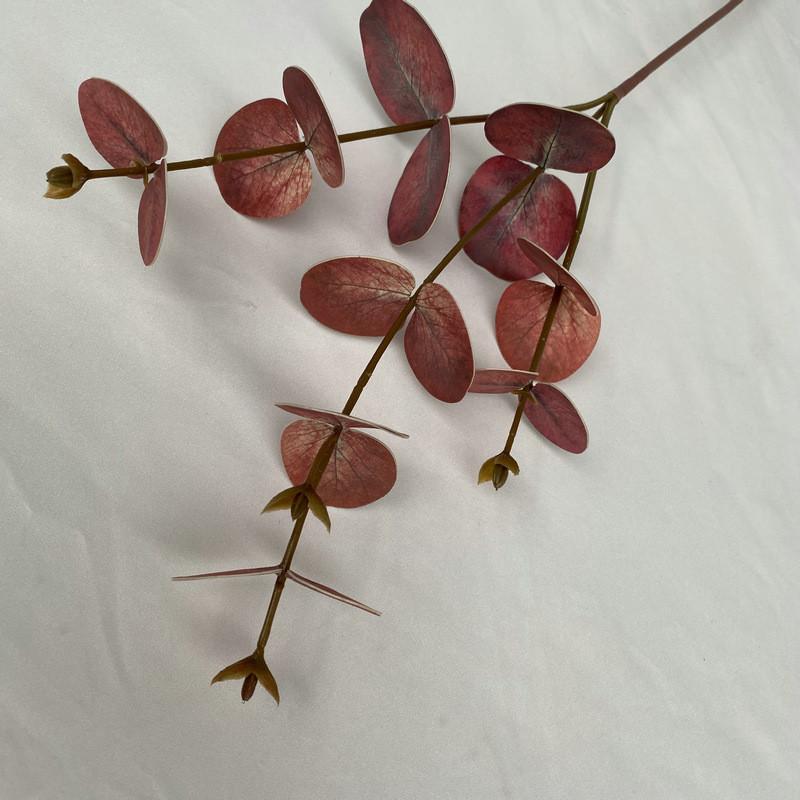 Eucalyptus Leaf Money Stems For Indoor Outdoor Wedding Decoration Gift StyleF
Eucalyptus Leaf Money Stems For Indoor Outdoor Wedding Decoration Gift StyleF