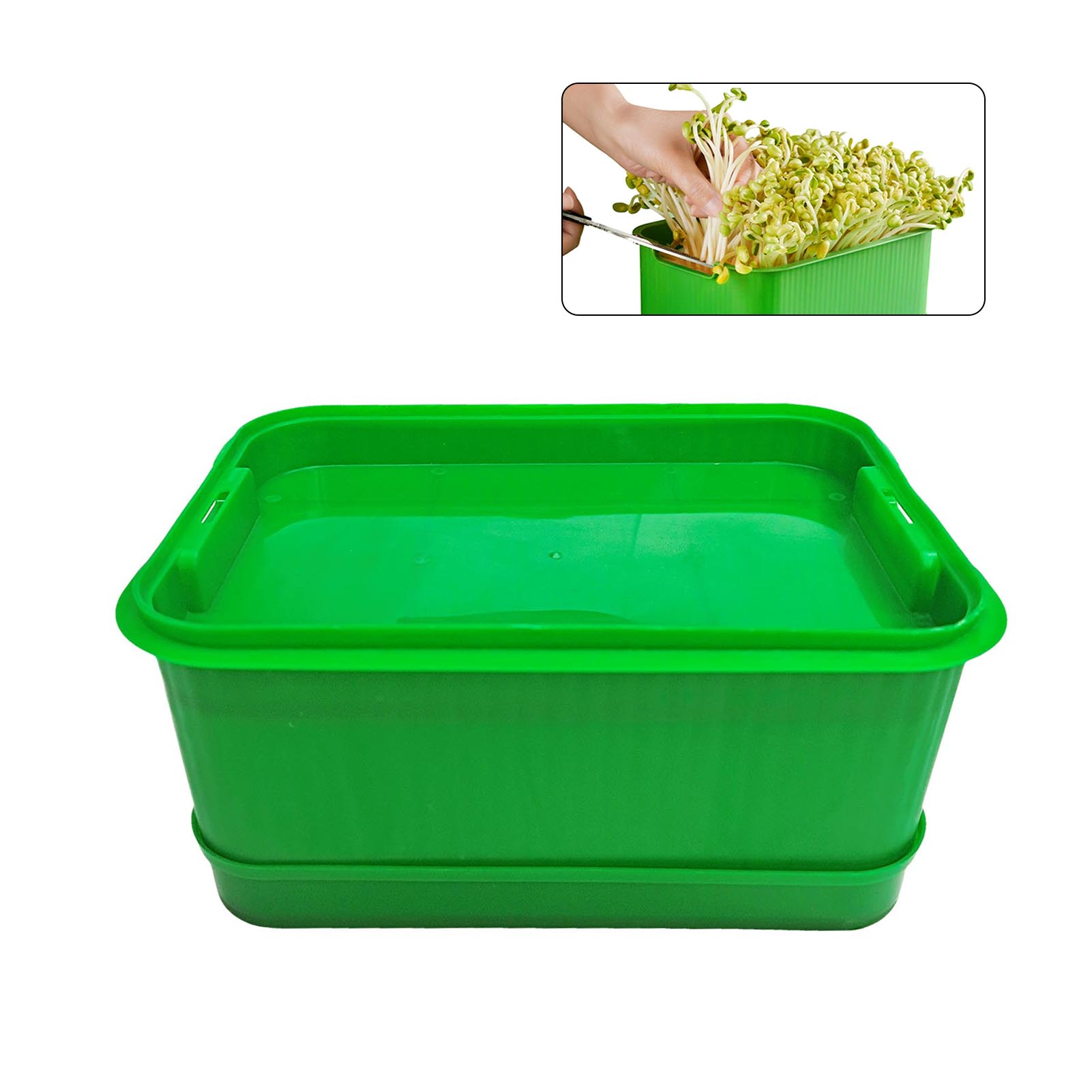 Bean Sprouts Plants Seedling Pots Saving Space Design Planting Germination Containers Suitable for Small Flowers Vegetables
Bean Sprouts Plants Seedling Pots Saving Space Design Planting Germination Containers Suitable for Small Flowers Vegetables