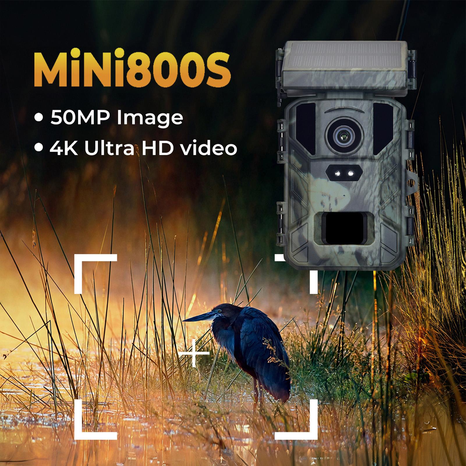 Trail Camera with Solar Panel 50MP 4K High Definition Night Visible 120 degrees Wide Angle 65ft Detection for Outdoors
Trail Camera with Solar Panel 50MP 4K High Definition Night Visible 120 degrees Wide Angle 65ft Detection for Outdoors