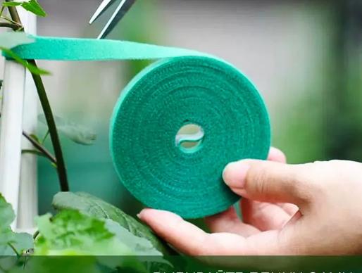 Plant -Straps One Size
Plant -Straps One Size