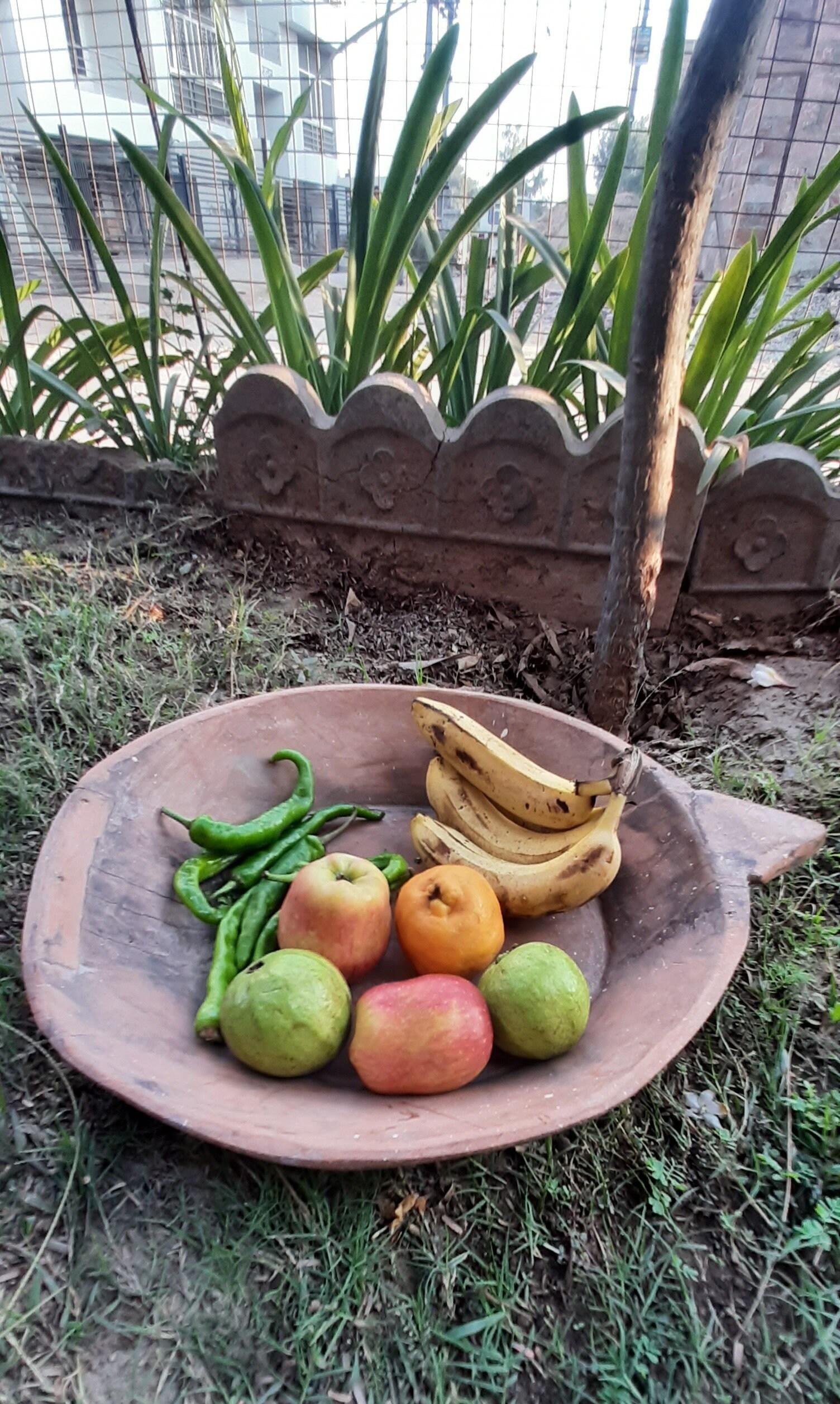 Hand Carved Wooden Plate: Antique Indian Fruit Platter, Kitchen Decor 16” X 8” X 24” (l x w x h) різнокольоровий
Hand Carved Wooden Plate: Antique Indian Fruit Platter, Kitchen Decor 16” X 8” X 24” (l x w x h) різнокольоровий