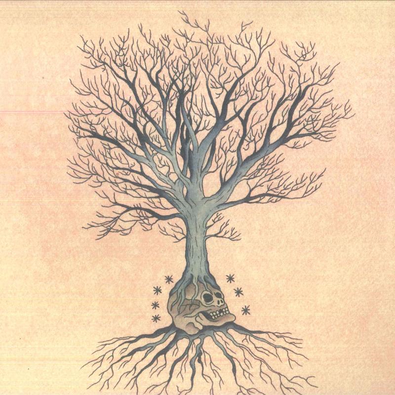 LP Record DAVID DANIELL, DOUGLAS MCCOMBS - Versions THRILL291 Thrill Jockey 2012 US Rock
LP Record DAVID DANIELL, DOUGLAS MCCOMBS - Versions THRILL291 Thrill Jockey 2012 US Rock