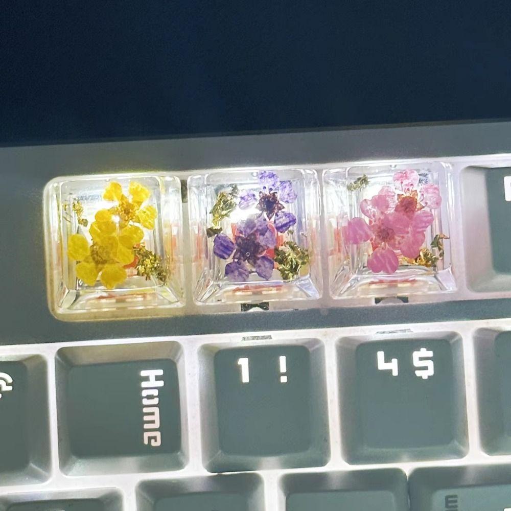 OEM R4 Mechanical Keyboard Keycap Gypsophila Resin Keycap Dried Flower Keycaps Desktop Computer фіолетовий
OEM R4 Mechanical Keyboard Keycap Gypsophila Resin Keycap Dried Flower Keycaps Desktop Computer фіолетовий