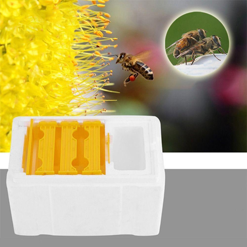Practical Beehive Foam Pollination Bee House Bee Nest Tool Beekeeping King Box Bee білий
Practical Beehive Foam Pollination Bee House Bee Nest Tool Beekeeping King Box Bee білий