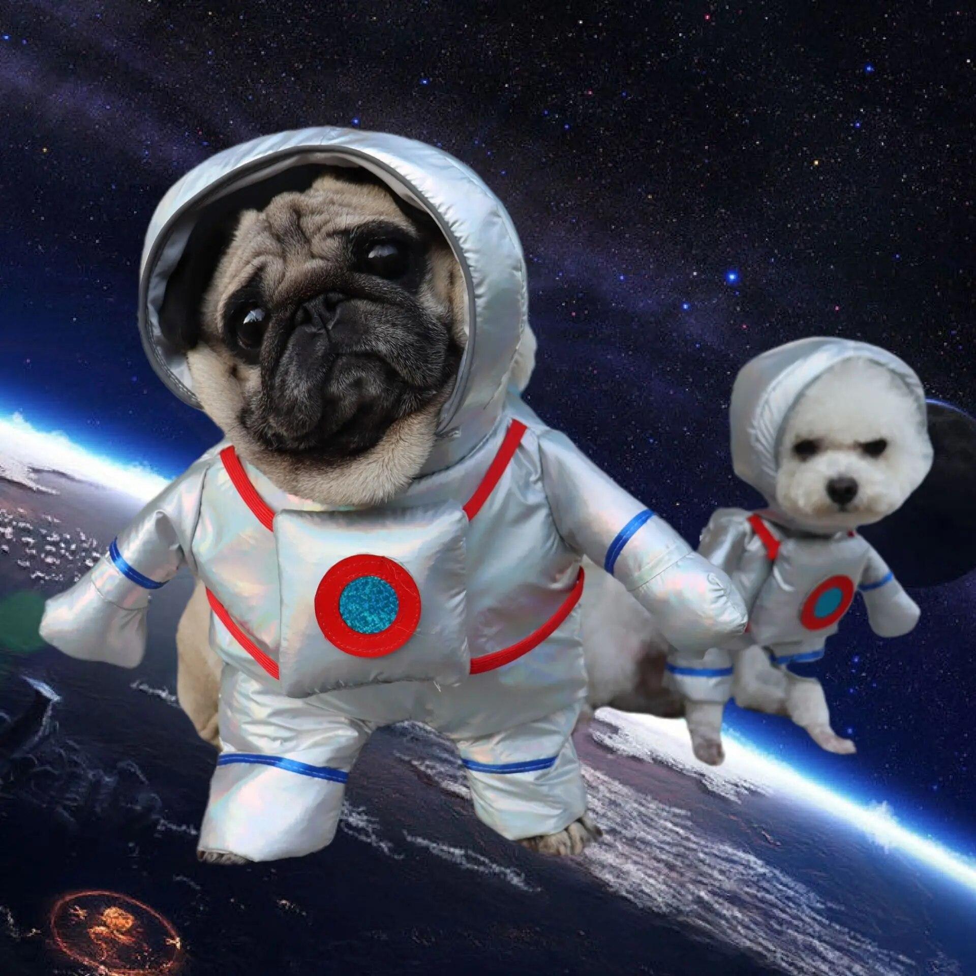 Lustige Pet Kleidung für Hunde Raum Anzug Pet Cosplay Kleidung Welpen Katze Astronaut Kostüme Halloween Party Kleid Up Katze Hund kleidung
Lustige Pet Kleidung für Hunde Raum Anzug Pet Cosplay Kleidung Welpen Katze Astronaut Kostüme Halloween Party Kleid Up Katze Hund kleidung