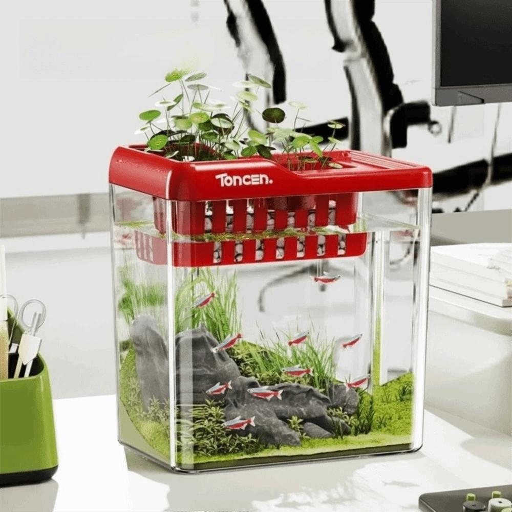LED Light Hydroponic Tank Transparent Aquarium Creative Turtle Tank Office Red without Light
LED Light Hydroponic Tank Transparent Aquarium Creative Turtle Tank Office Red without Light
