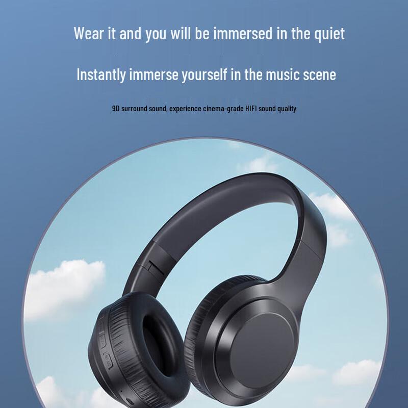 ThinkPlus TH10B Sports Bluetooth Headset
ThinkPlus TH10B Sports Bluetooth Headset
