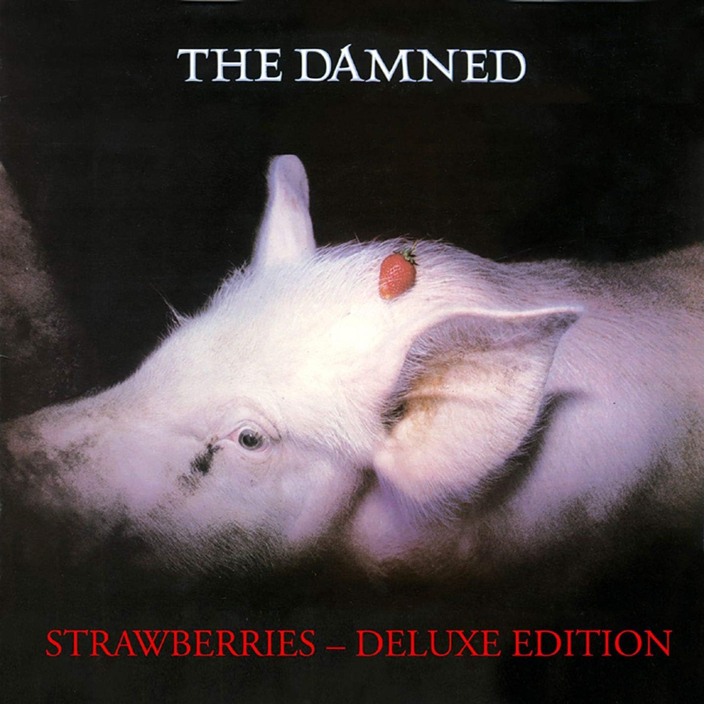 LP Record DAMNED Strawberries BMGRM052LP Sanctuary 2015 Europe Rock
LP Record DAMNED Strawberries BMGRM052LP Sanctuary 2015 Europe Rock