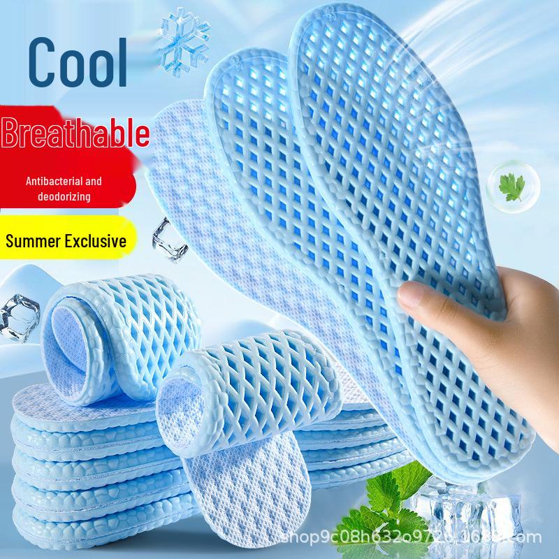Lavender Mugwort Deodorizing Summer Insoles - Sweat-Absorbing, Breathable, Comfort for Sports & Casual Wear with Fresh Clean Scent. 41/42
Lavender Mugwort Deodorizing Summer Insoles - Sweat-Absorbing, Breathable, Comfort for Sports & Casual Wear with Fresh Clean Scent. 41/42