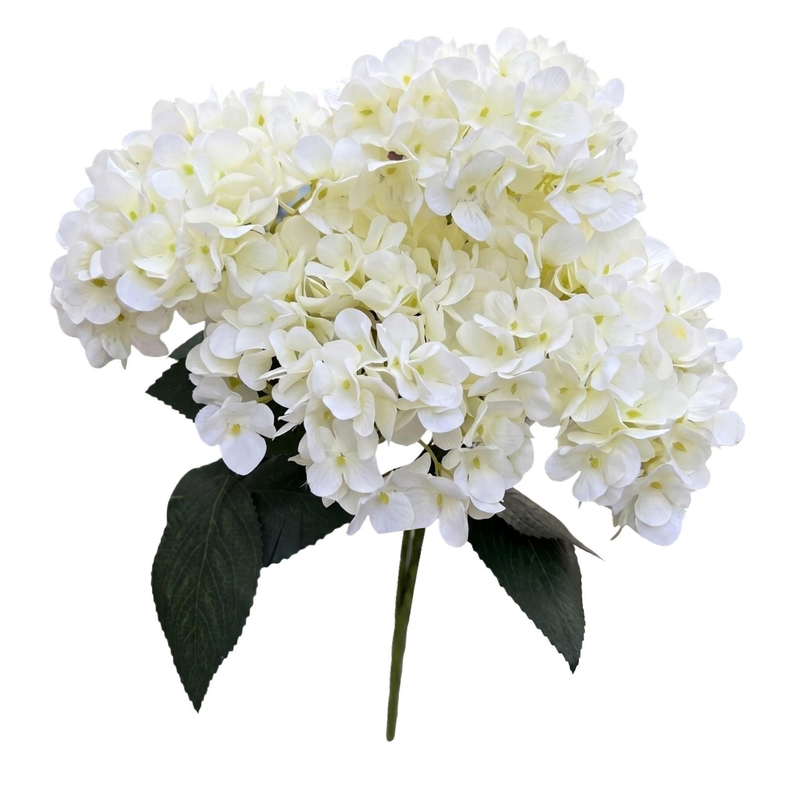Artificial Hydrangea Flowers 5 Heads Realistic Silk Floral Arrangement for Porch Garden Yard Wedding Decor Indoor Outdoor Use One Size білий
Artificial Hydrangea Flowers 5 Heads Realistic Silk Floral Arrangement for Porch Garden Yard Wedding Decor Indoor Outdoor Use One Size білий