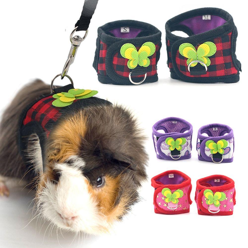 Аксесуар для тварин для шиншили Dutch Chest Strap Harness Leash Small Pet Products Vest Leash Set S-D
Аксесуар для тварин для шиншили Dutch Chest Strap Harness Leash Small Pet Products Vest Leash Set S-D