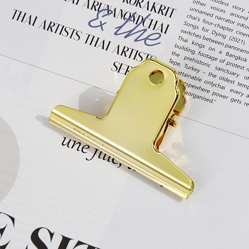 Large Macaron Color Thick Metal Planner & Drawing Clips
Large Macaron Color Thick Metal Planner & Drawing Clips