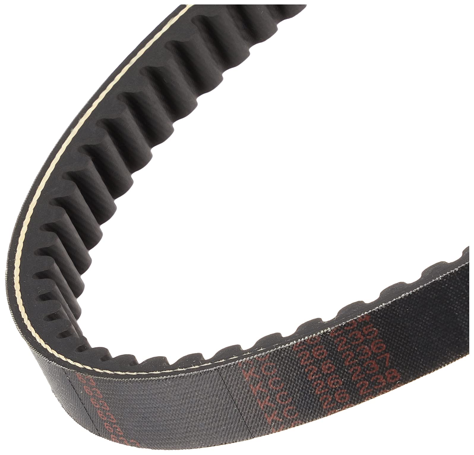 Daytona Reinforced V Belt for Motorcycles Address Address 95719 V125S/S Basic/S Limited/SS(L0/1/3) V125/G/G Limited(K5/6/7/9 L3)
Daytona Reinforced V Belt for Motorcycles Address Address 95719 V125S/S Basic/S Limited/SS(L0/1/3) V125/G/G Limited(K5/6/7/9 L3)