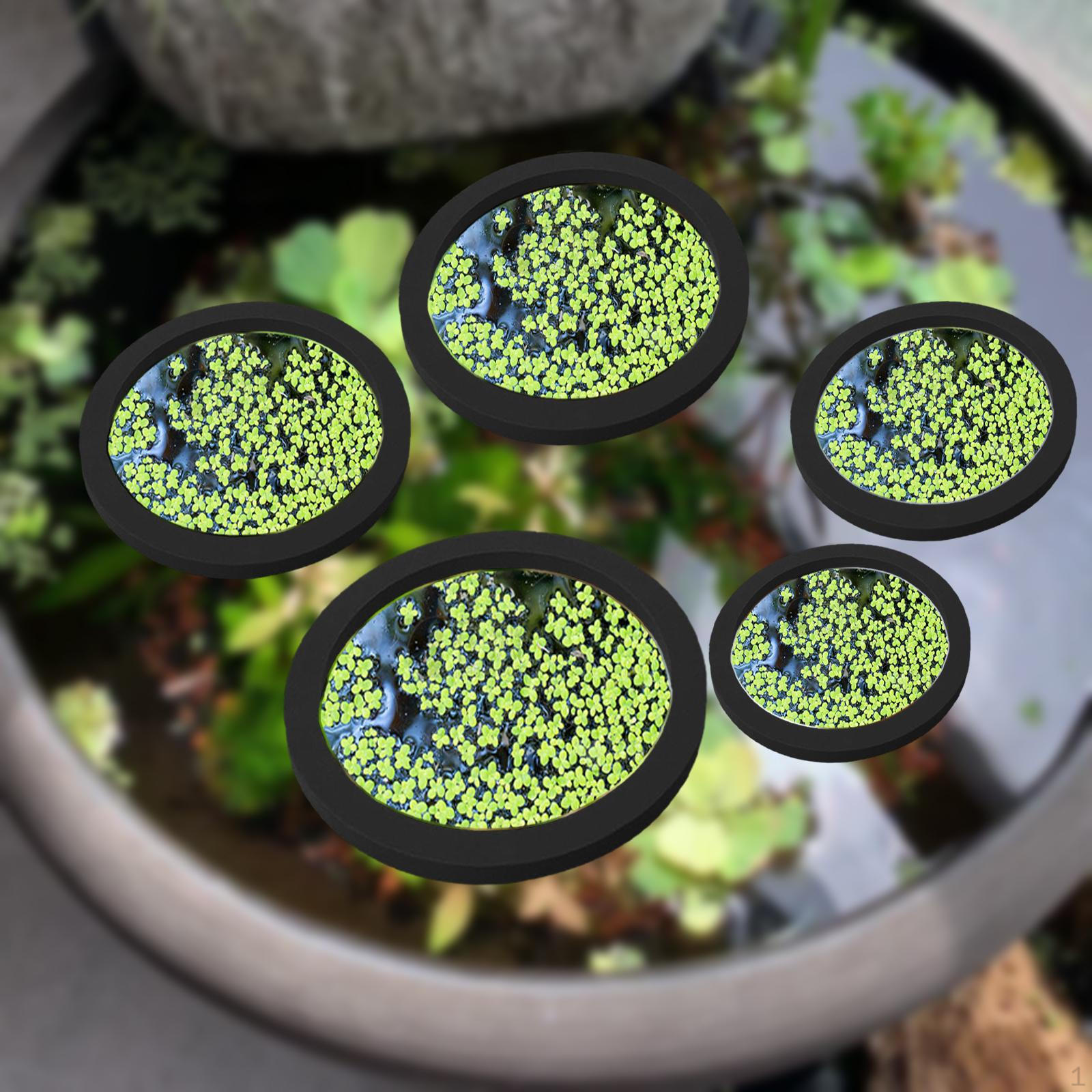 5 шт. Аквариумный плавающий загон для растений для хранения растений на месте чёрный
5 шт. Аквариумный плавающий загон для растений для хранения растений на месте чёрный