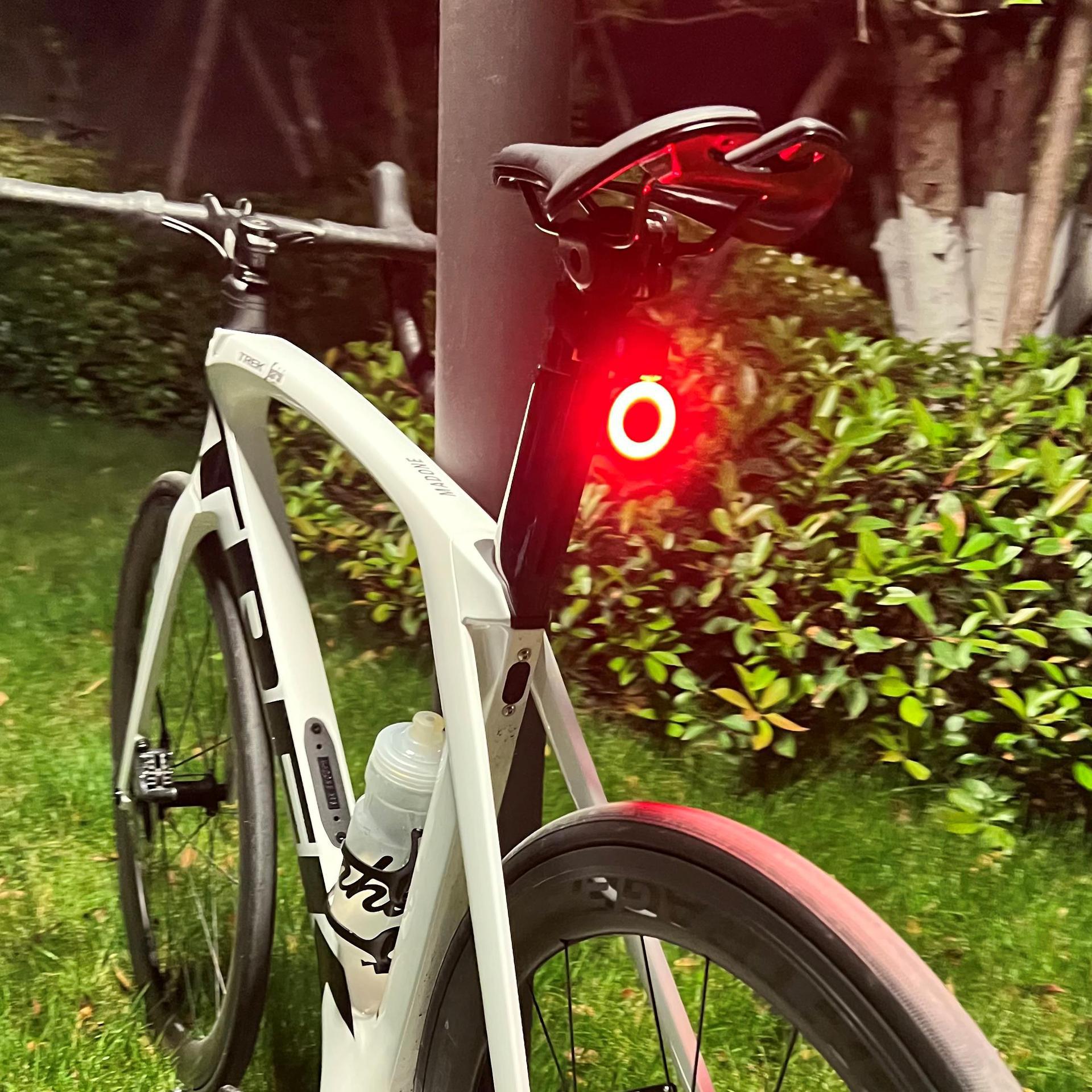 Flashing Heart Bone Taillight for Night Mountain Biking
Flashing Heart Bone Taillight for Night Mountain Biking